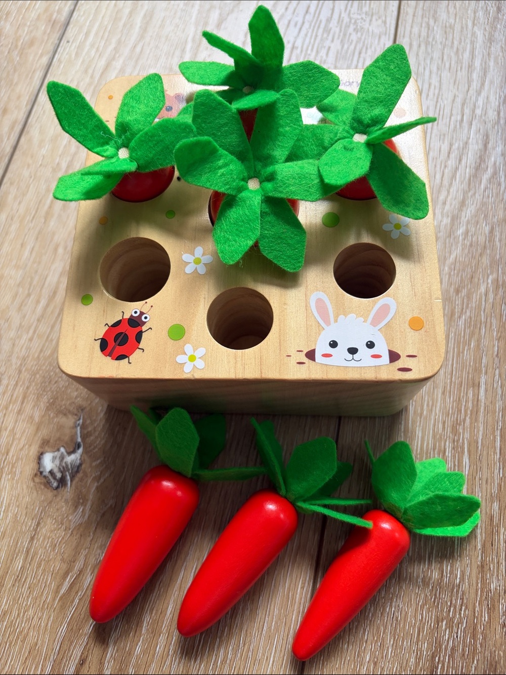 Wooden Carrot Harvest Montessori Toy for Toddlers 1-3 Shape Sorter Sensory